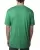 31621.webp