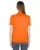 32905.webp