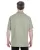 33510.webp