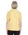 33514.webp