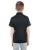 33603.webp