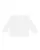 3499.webp