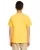 35006.webp