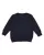 3535.webp