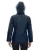 36543.webp