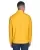 37847.webp