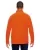 37942.webp