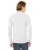 3834.webp