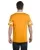 4417.webp