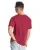 449310.webp