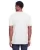 459500.webp