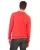 4994.webp