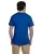 5071.webp