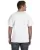 5181.webp