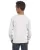 6206.webp