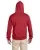 6336.webp