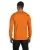 6843.webp
