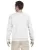 7550.webp