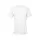 785596.webp