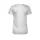 786563.webp
