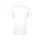 787347.webp