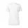 793626.webp