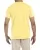 806066.webp
