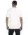 8416.webp