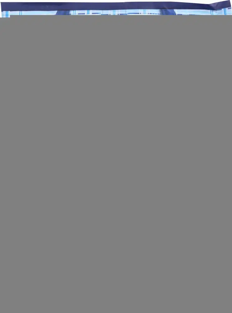1000392.webp