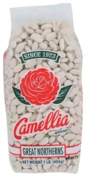Camellia Bean Drd Great Northerns