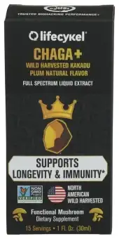 Lifecykel Mushroom Chaga 2X