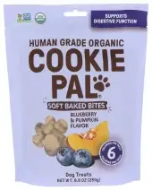 Cookie Pal Dog Treat Soft Bk Pumpkn