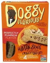 Doggy Delirious Dog Bone Pumpkin