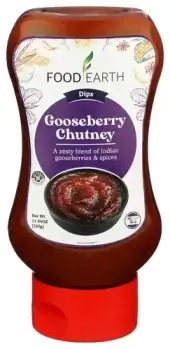 Food Earth Dip Sauce Goosebry Chtny