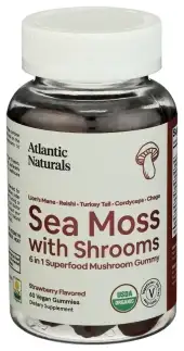 Atlantic Naturals Sea Moss Mushroom Gummy