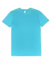 Threadfast Apparel 100A Unisex Ultimate CVC T-Shirt 2 Pack