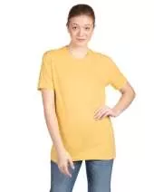 Next Level 3600 Unisex Cotton T-Shirt