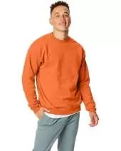 Hanes P1607 Adult 7.8 oz. EcoSmart® 50/50 Fleece Crew