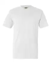 Comfort Colors 4017 Unisex Garment-Dyed Lightweight T-Shirt 2 Pack