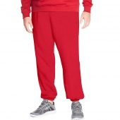 Champion Big & Tall Mens Fleece Pant