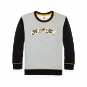 Hanes Boys Graphic Fleece Colorblocked Sweatshirt