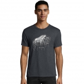 Hanes Men's Bison Roam Graphic Tee