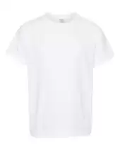 Comfort Colors 9018 Youth Garment-Dyed Heavyweight T-Shirt 2 Pack
