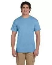 Fruit of the Loom 3931 Adult 5 oz. HD Cotton™ T-Shirt