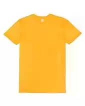 Threadfast Apparel 100A Unisex Ultimate T-Shirt