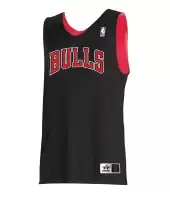 Alleson Athletic A506Rla Logo'D Nba Reversibl