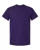 Gildan 5000 Unisex Heavy Cotton? T-Shirt