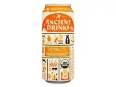 Khch02410819 16 Fl Oz Posca Functional Water