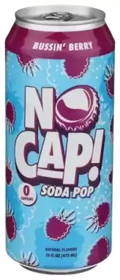 Khch02420894 16 Fl Oz Bussing Berry Postbiotic Soda