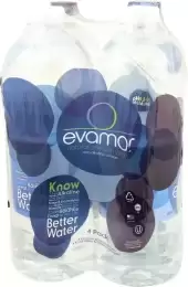 Rtd Beverages Evamor Water 4 Ea